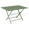 Table De Jardin 6 Personnes FERMOB Cargo 128 X 90 Cm - Cactus 1 Table De Jardin 6 Personnes FERMOB Cargo 128 X 90 Cm - Cactus -Mobilier De Jardin cargo 128x90 cactus 1