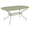 Table De Jardin Ovale 6 Personnes FERMOB Opéra + 160 X 90 Cm - Cactus -Mobilier De Jardin opera premium 160x90 cactus 1